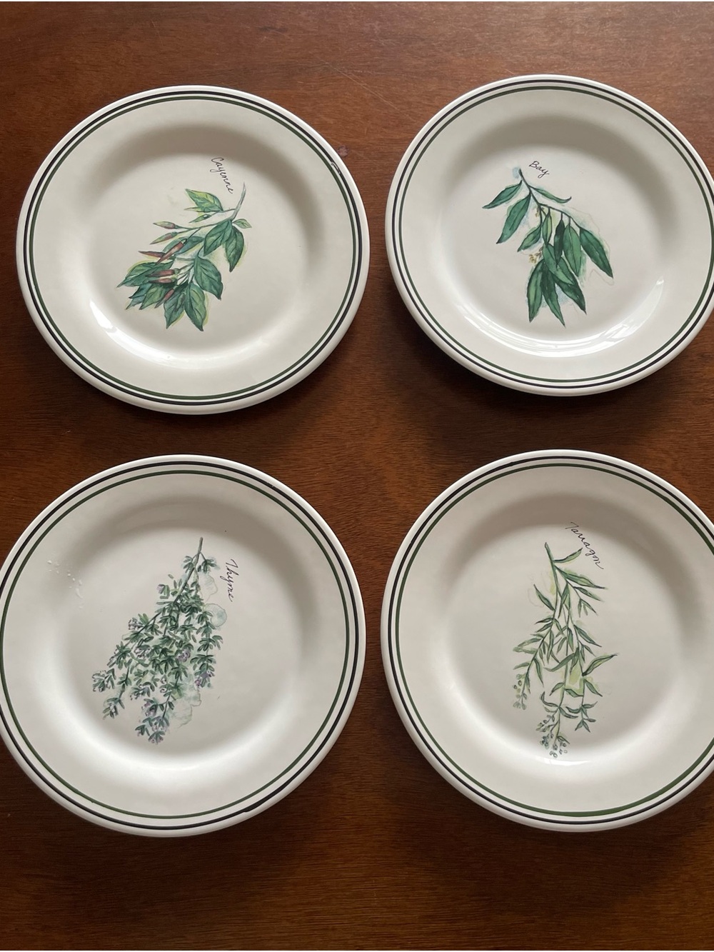 WILLIAMS SONOMA Portugal HERBS SALAD PLATES set of 4 Bay Thyme Cayenne Tarragon